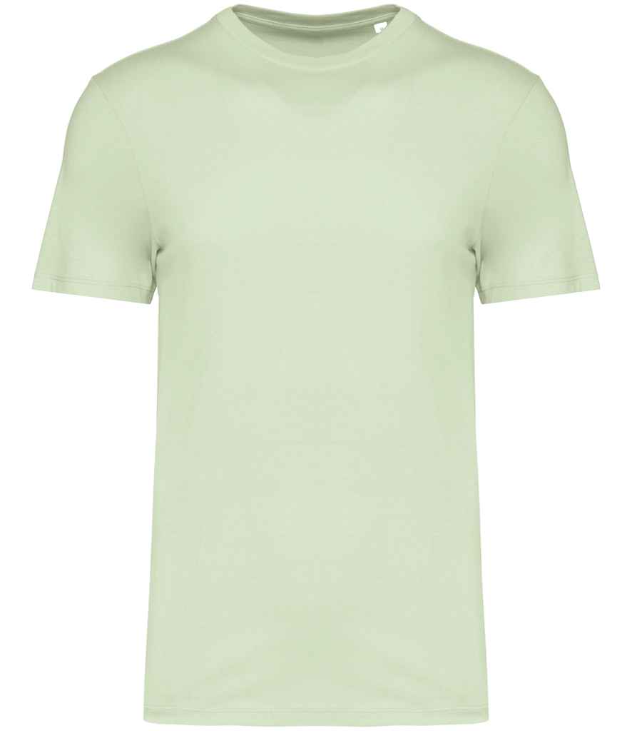 Native Spirit Unisex T-Shirt - Celadon Green