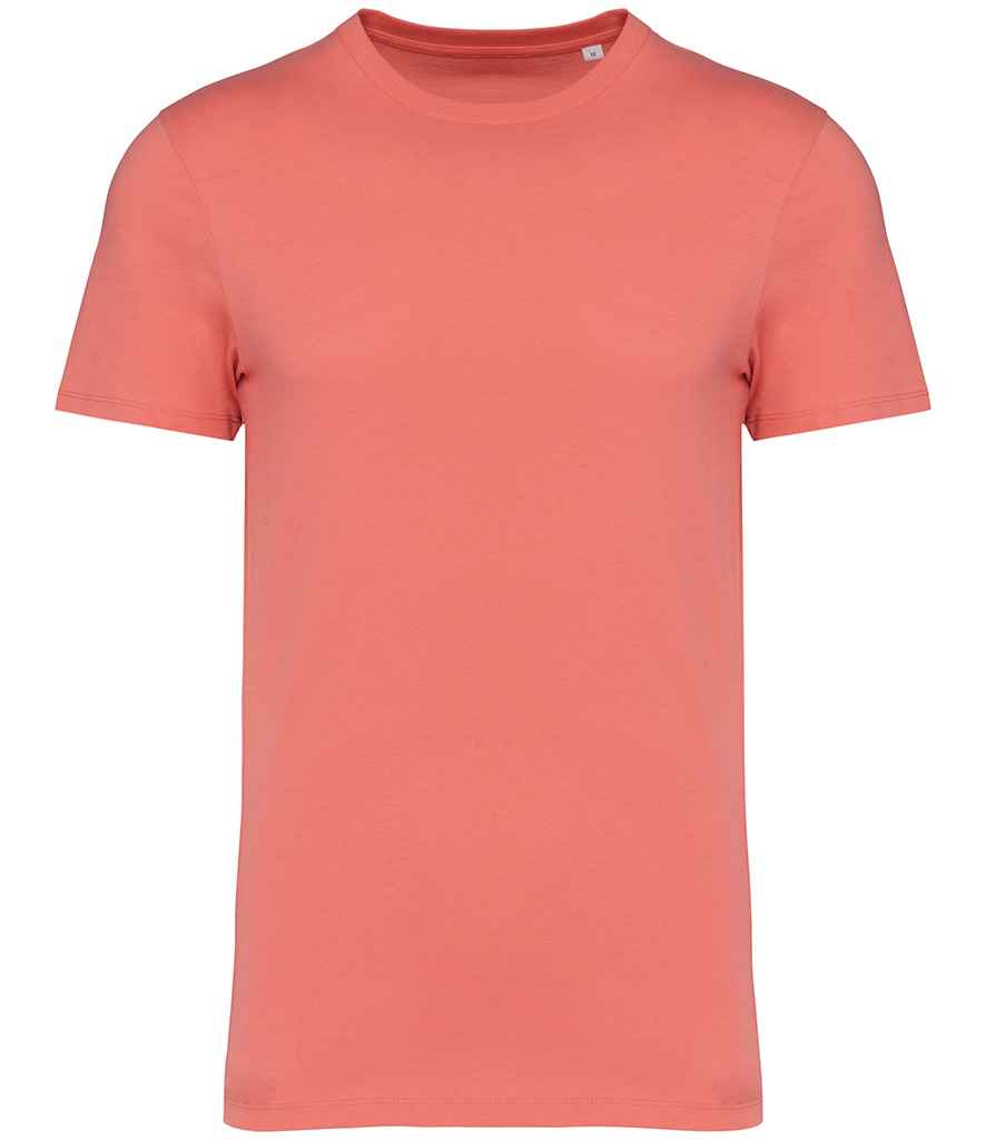 Native Spirit Unisex Heavyweight T-Shirt - Light Coral