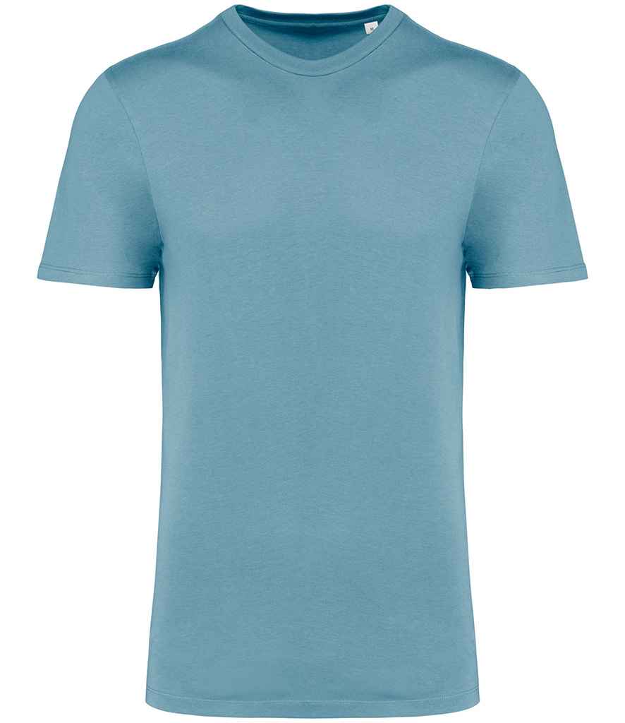 Native Spirit Unisex Crew Neck IC T-Shirt - Arctic Blue