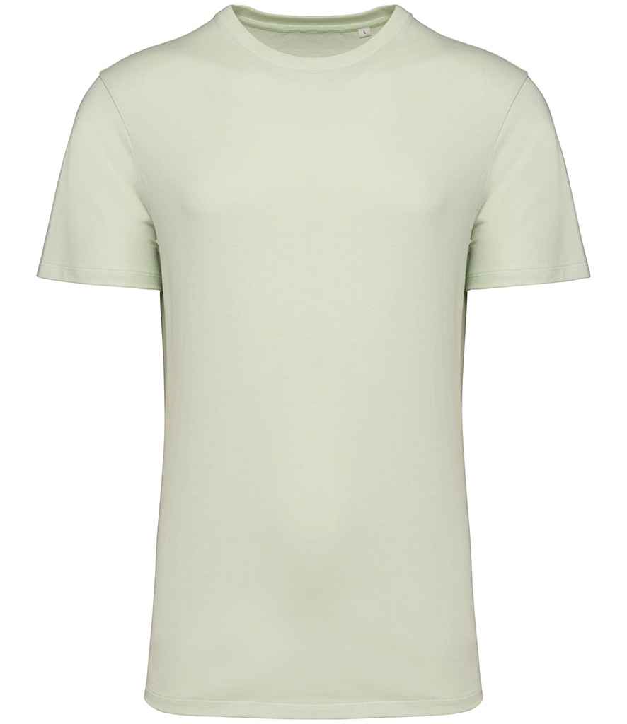 Native Spirit Unisex Crew Neck IC T-Shirt - Celadon Green