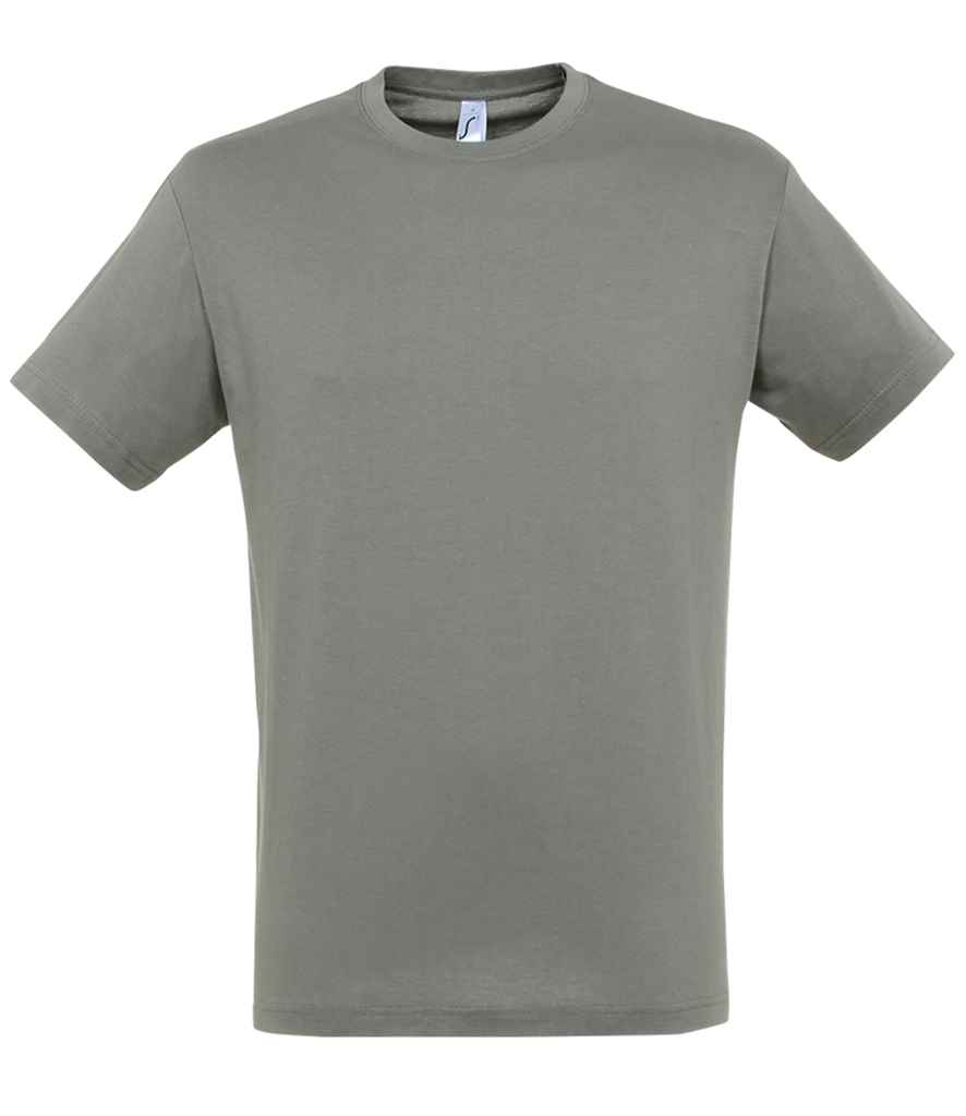 SOL'S Regent T-Shirt - Zinc
