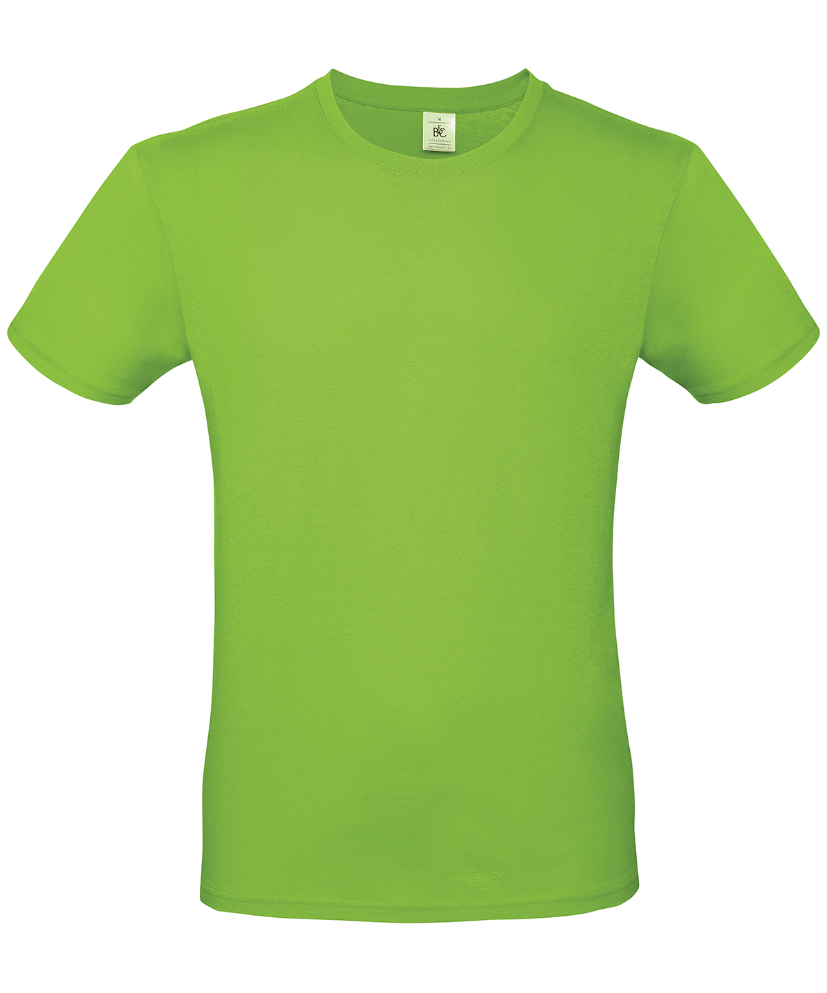 B&C #E150 - Orchid Green