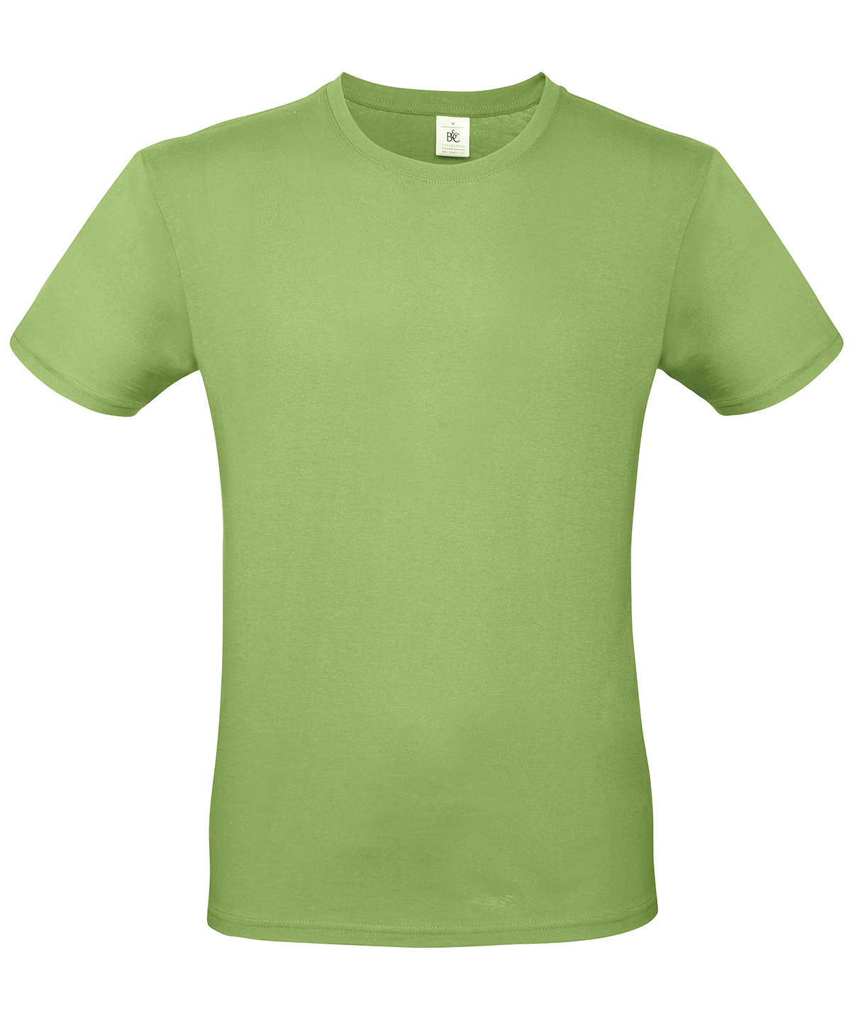 B&C #E150 - Pistachio