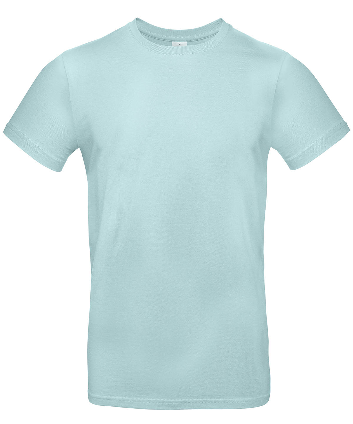 B&C #E190 - Millennial Mint