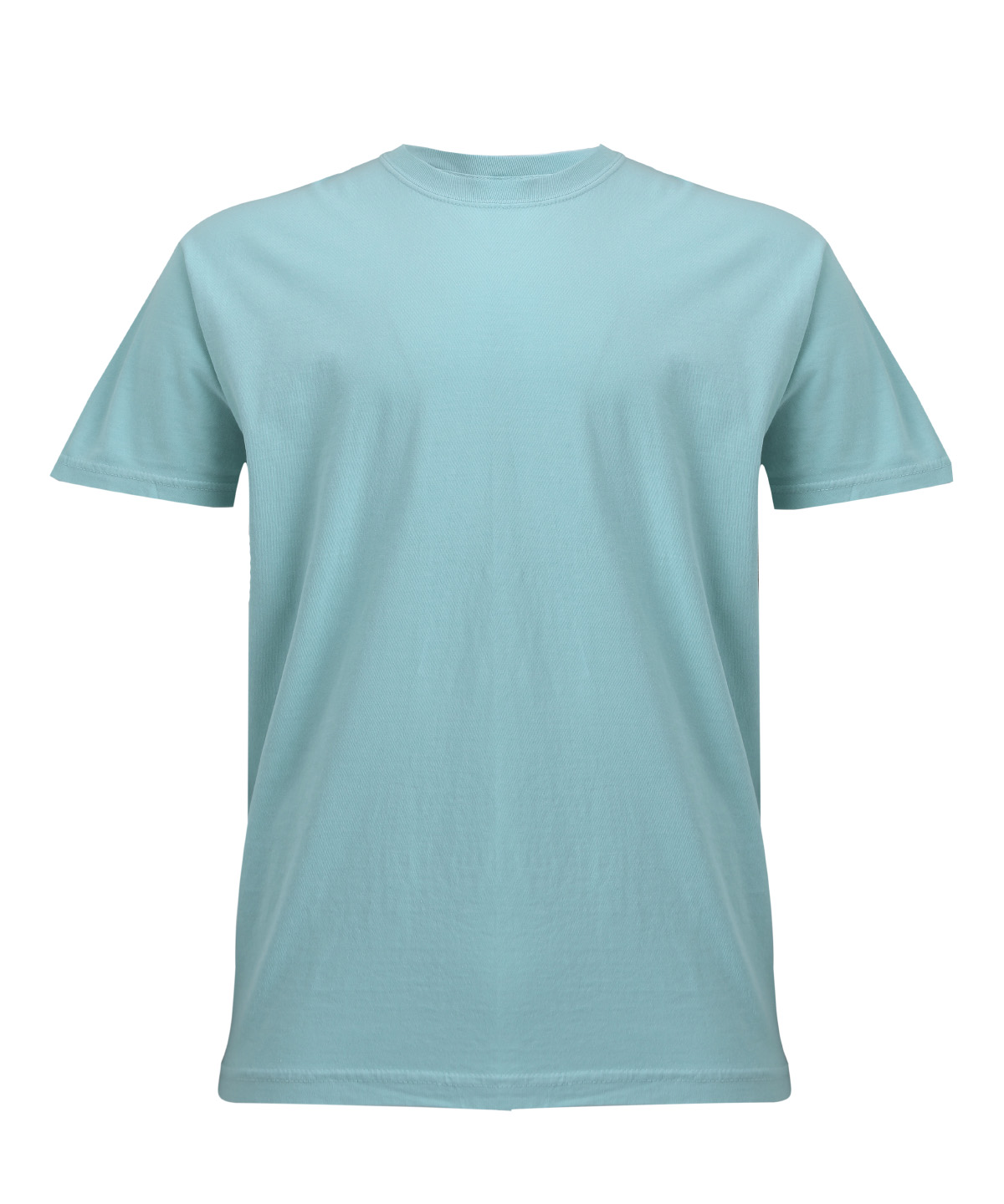 Heavyweight adult t-shirt - Chalky Mint